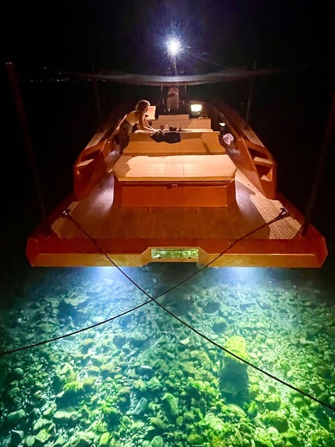 Motorboot SAY Carbonyacht SAY 42