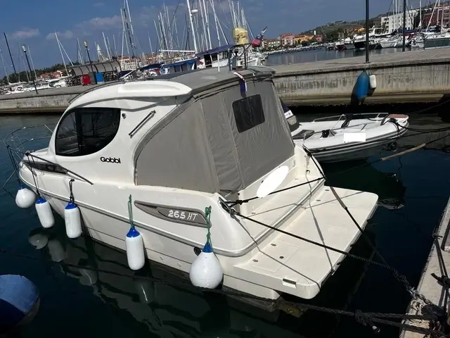 Motorboot Gobbi 265