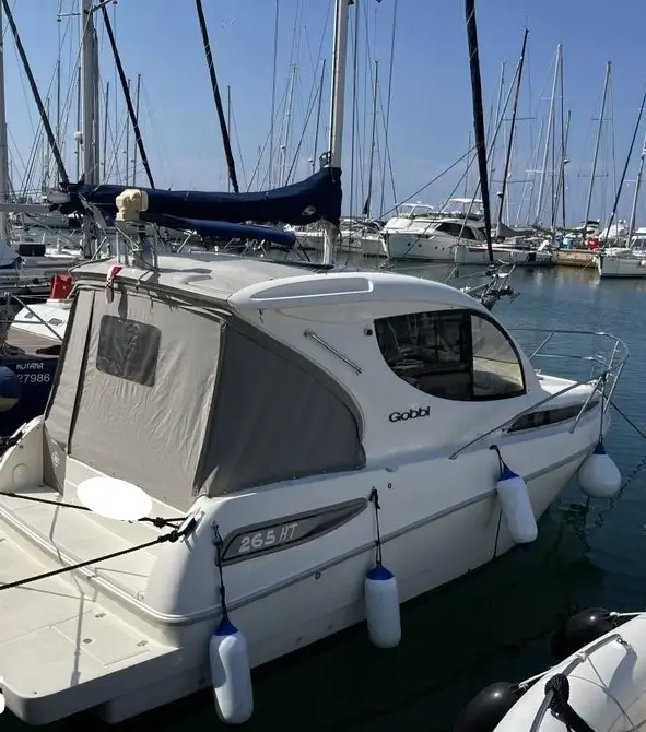 Motorboot Gobbi 265