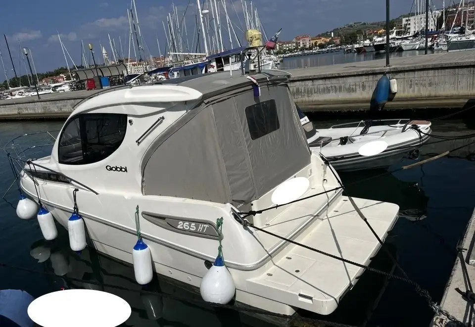 Motorboot Gobbi 265