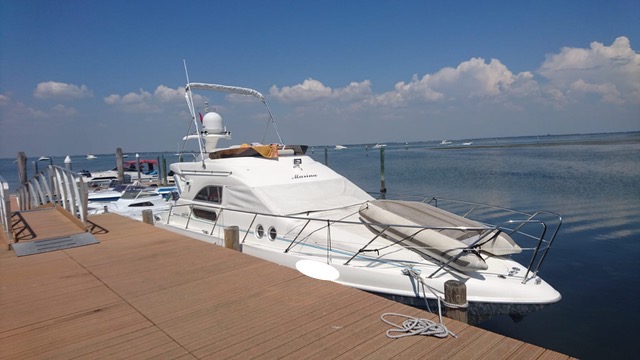 Motorboot Sealine 330 Fly