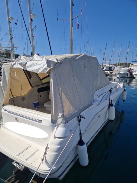 Motorboot Sea Ray 290 Sundancer
