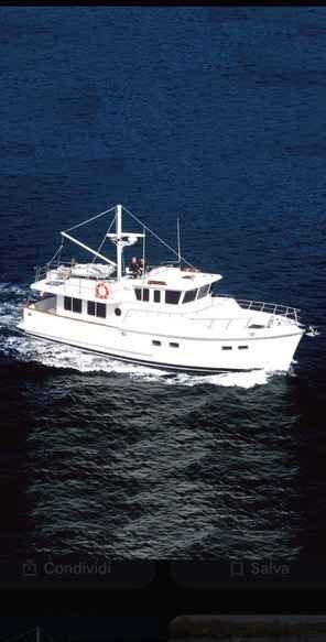 Motorboot Selene 47 Ocean