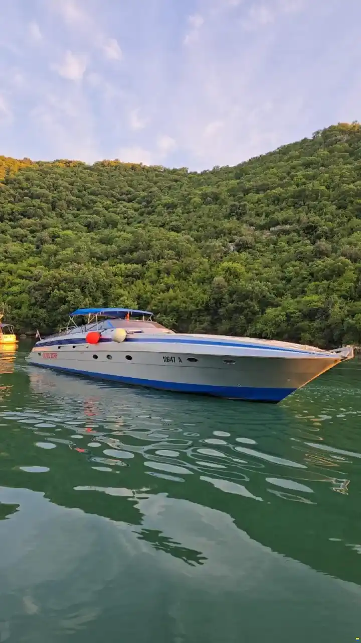 Motorboot Profil Marine 61