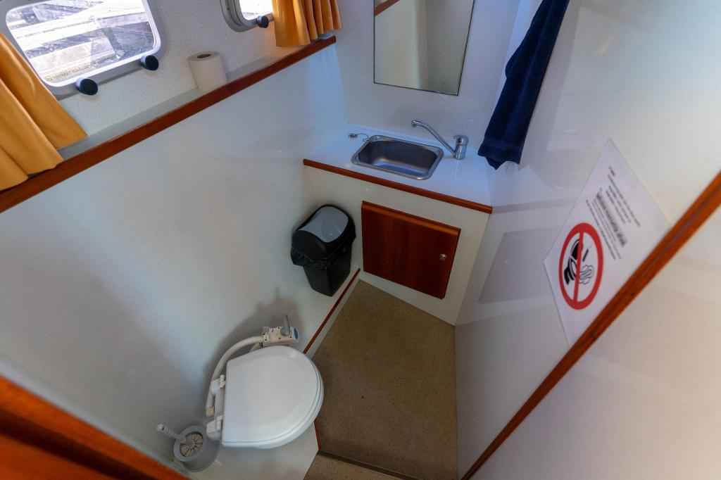 Motorboot Pedro Skiron 35