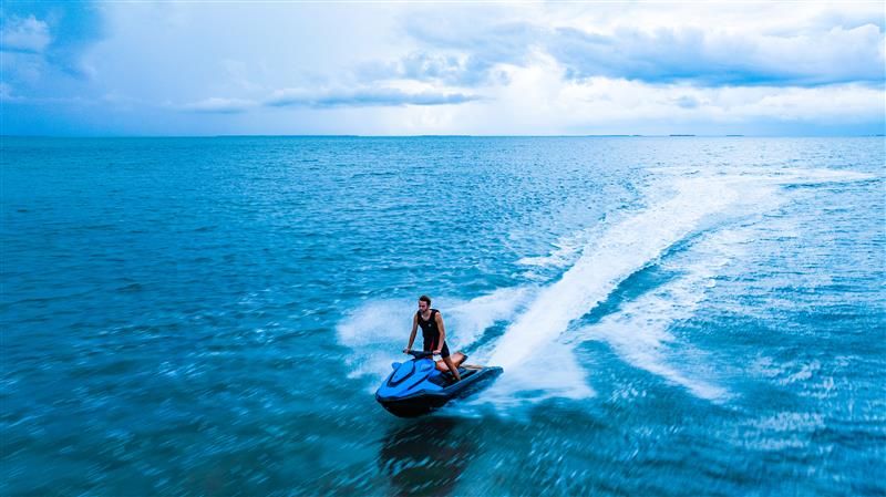 Motorboot Taiga Motors Orca P2