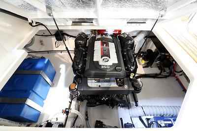 Motorboot Sea Ray Sundancer (DAE) 265 & Trailer (im Vorlauf)