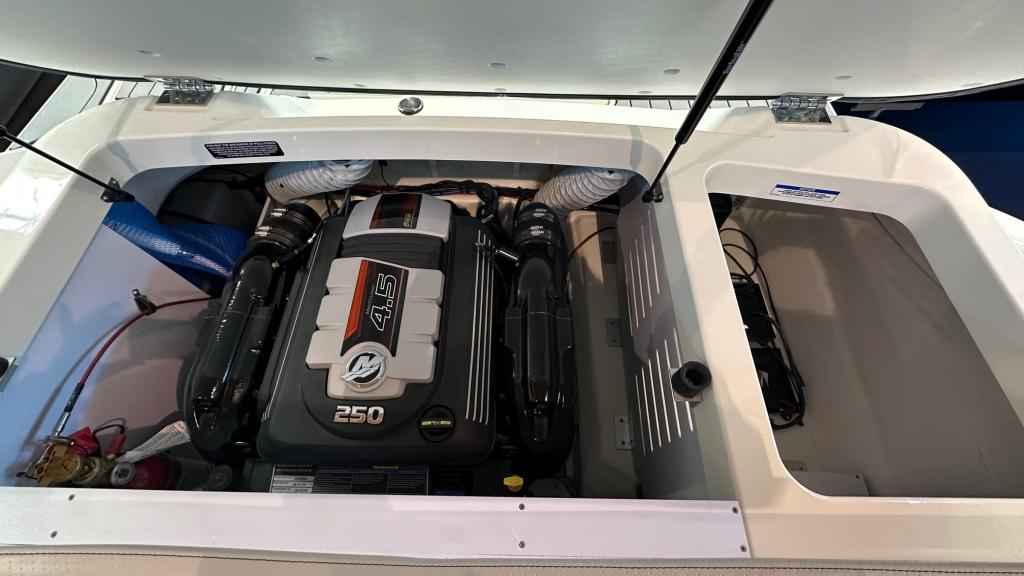 Motorboot Sea Ray SPXE 190 (Lagerboot) *HOT SUMMER SALE*