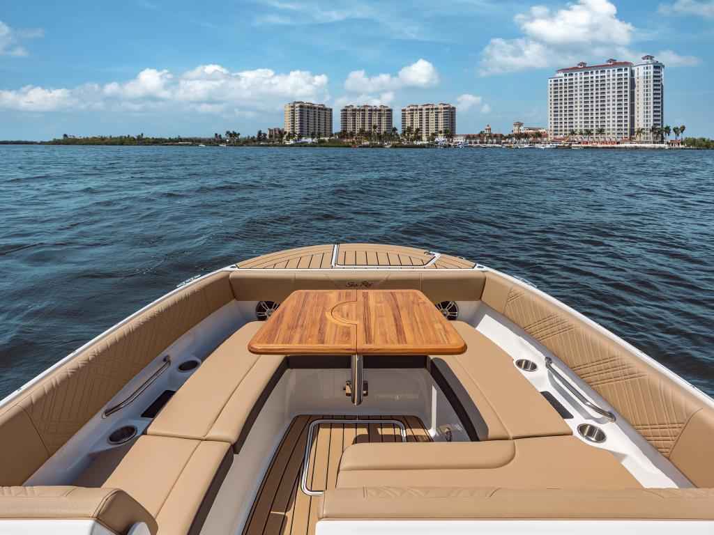 Motorboot Sea Ray SDX270E & Trailer mit LIEGEPLATZ (NEU auf Bestellung)