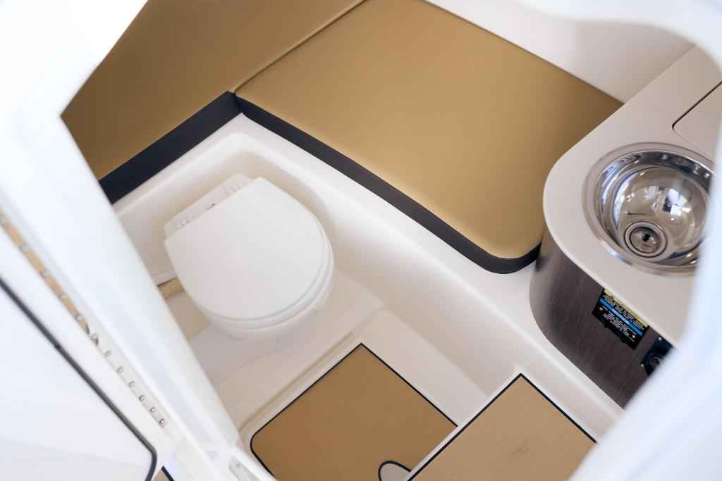 Motorboot Sea Ray SDX270E & Trailer mit LIEGEPLATZ (NEU auf Bestellung)