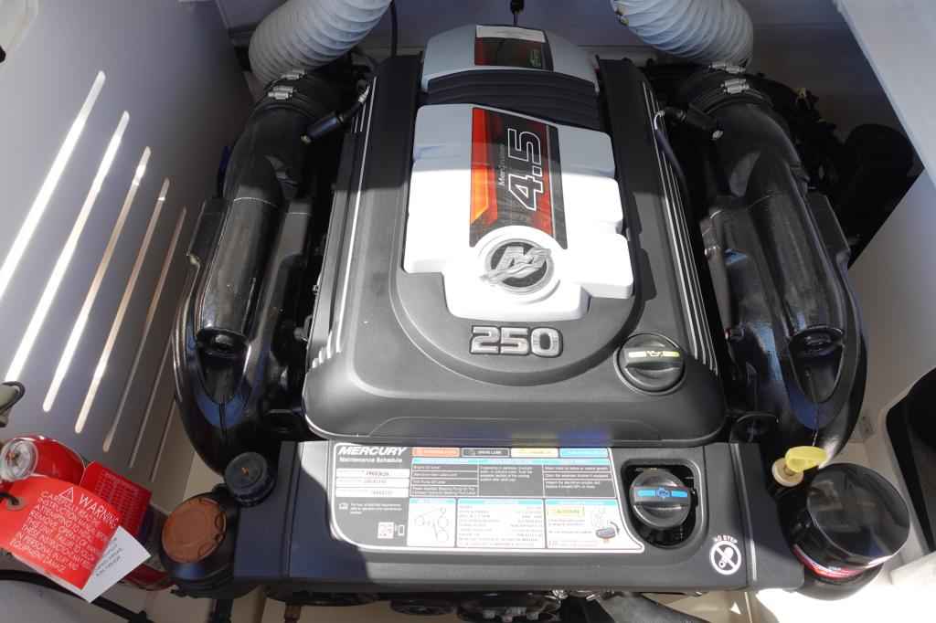Motorboot Sea Ray SPXE 210 & Trailer (1. Hand)