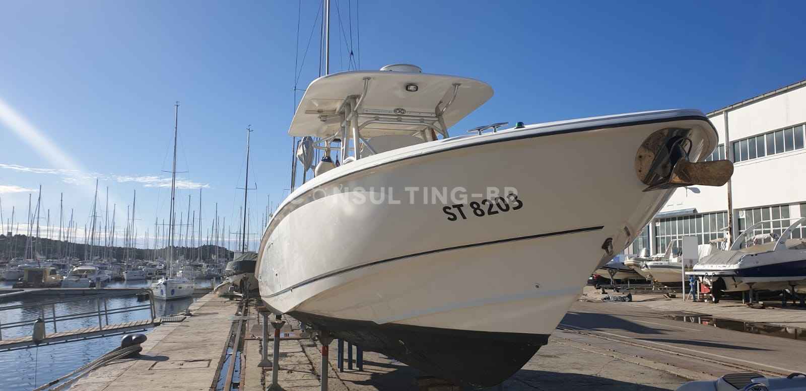 Motorboot Boston Whaler Outrage 320