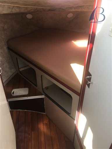 Motorboot Nicol Nicols 800
