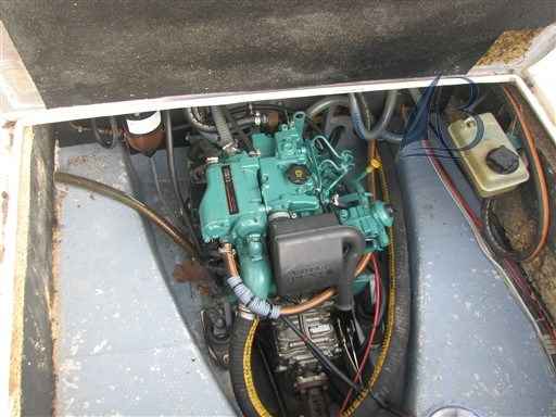 Motorboot Nicol Nicols 800