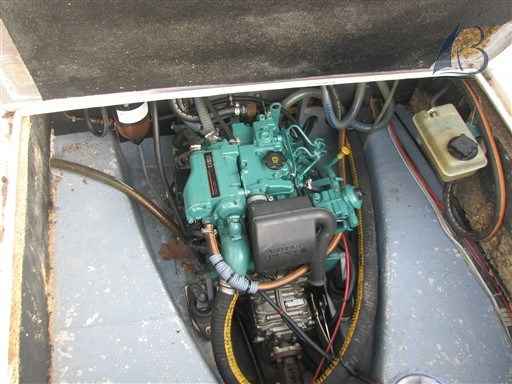 Motorboot Nicol Nicols 800