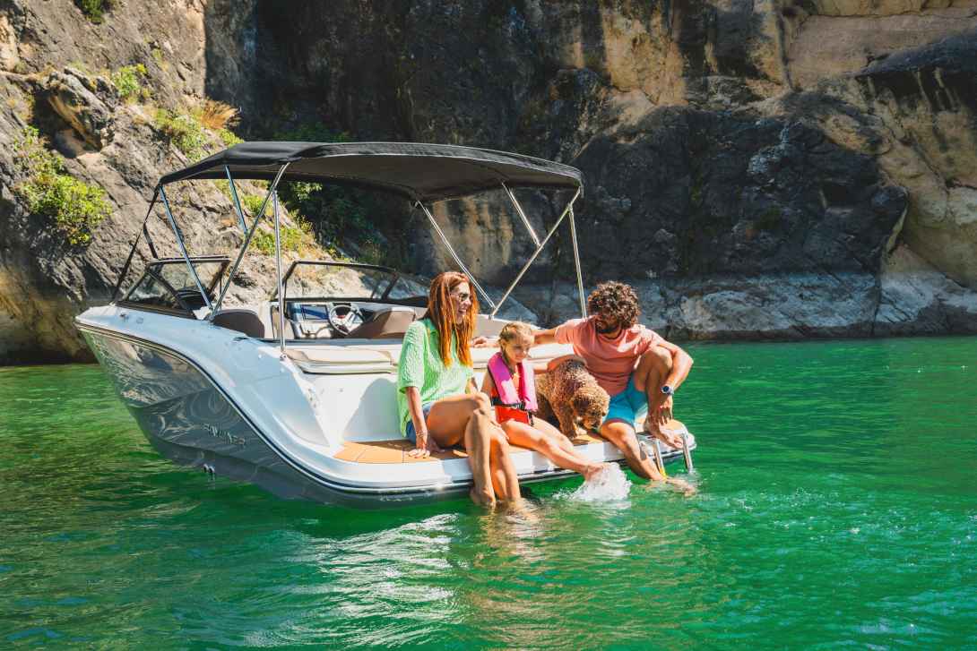 Motorboot Bayliner V20i