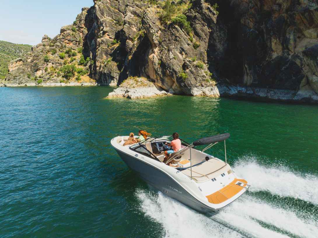 Motorboot Bayliner V20i