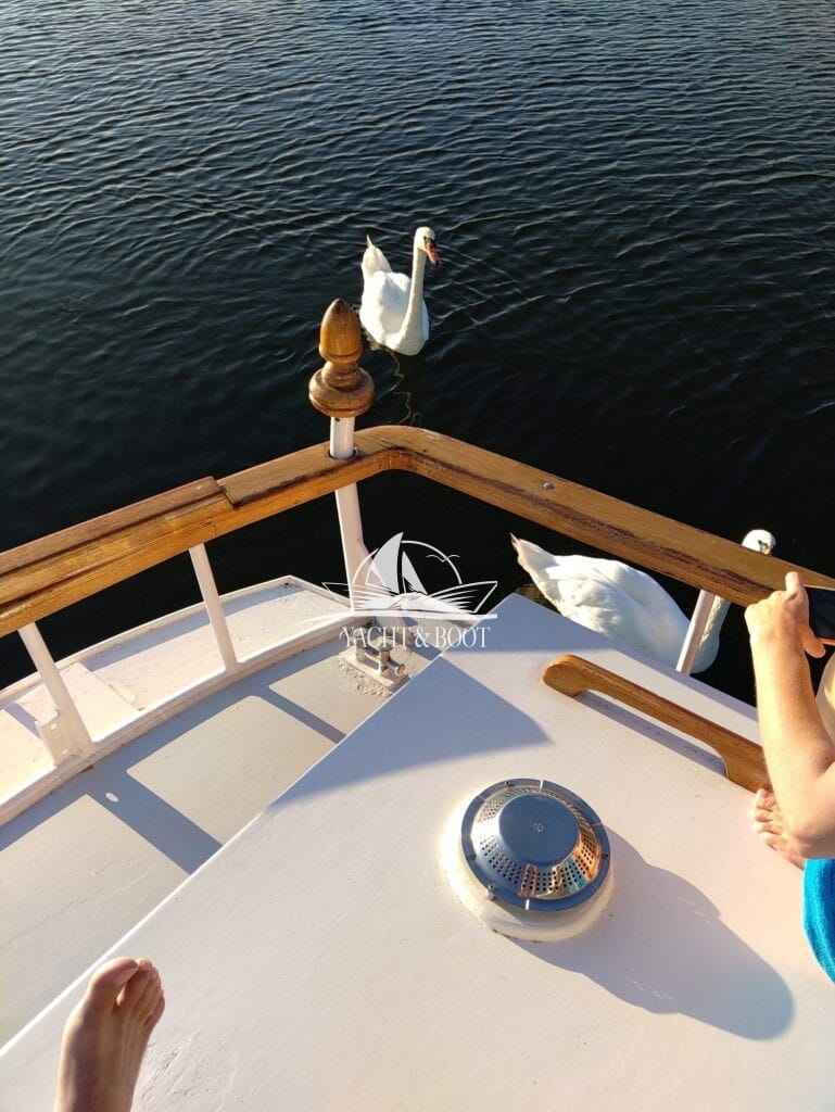 Motorboot Mulder Super Favorit 950 AK