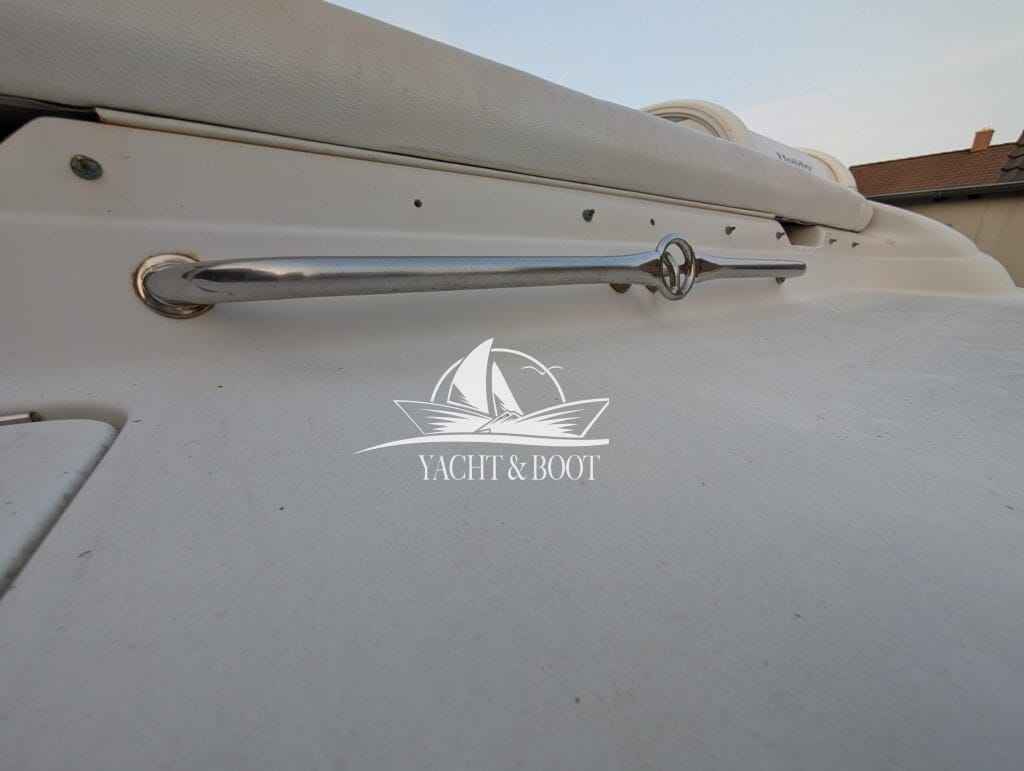 Motorboot Sea Ray 190
