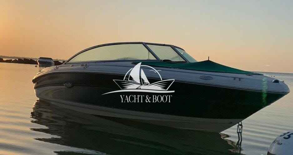 Motorboot Sea Ray 190