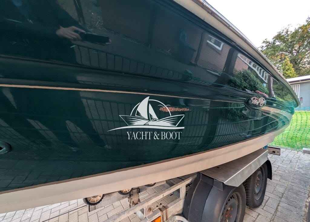 Motorboot Sea Ray 190