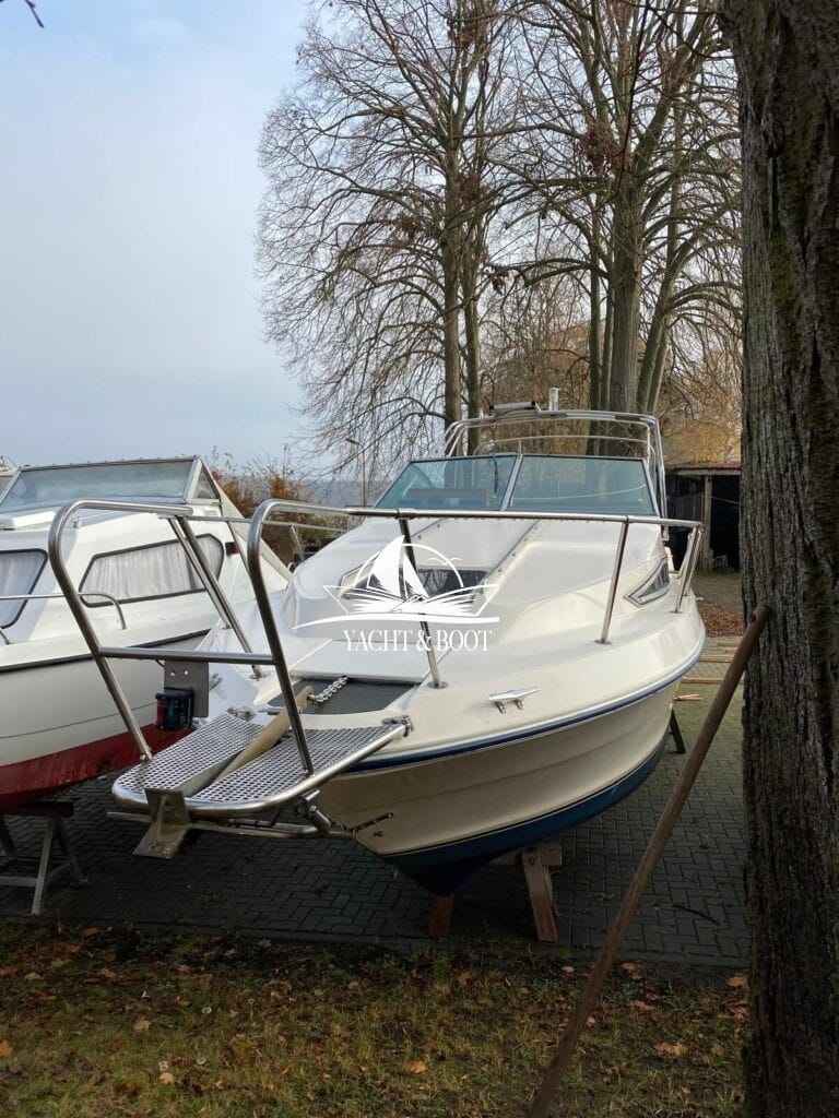 Motorboot Sea Ray 250 DA