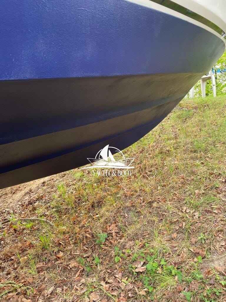 Motorboot Sea Ray 250 DA