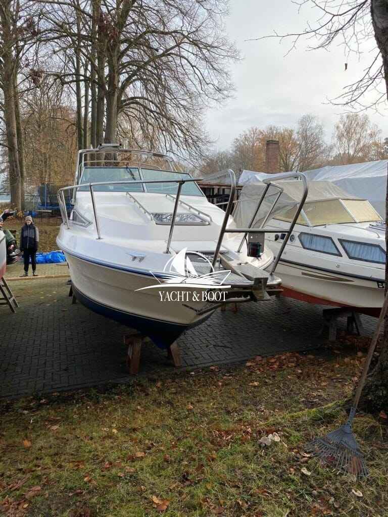 Motorboot Sea Ray 250 DA