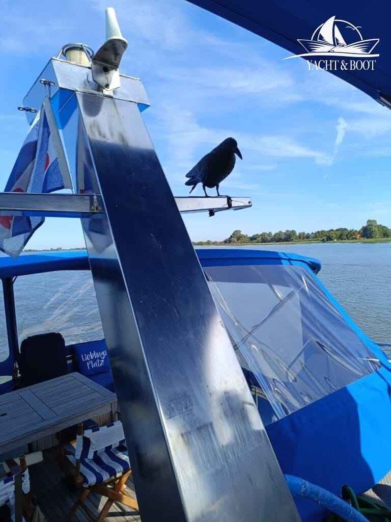 Motorboot Neptunus 131 Fly
