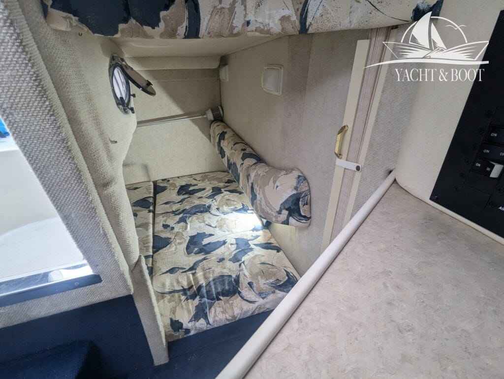 Motorboot Sea Ray 240 DA Sundancer