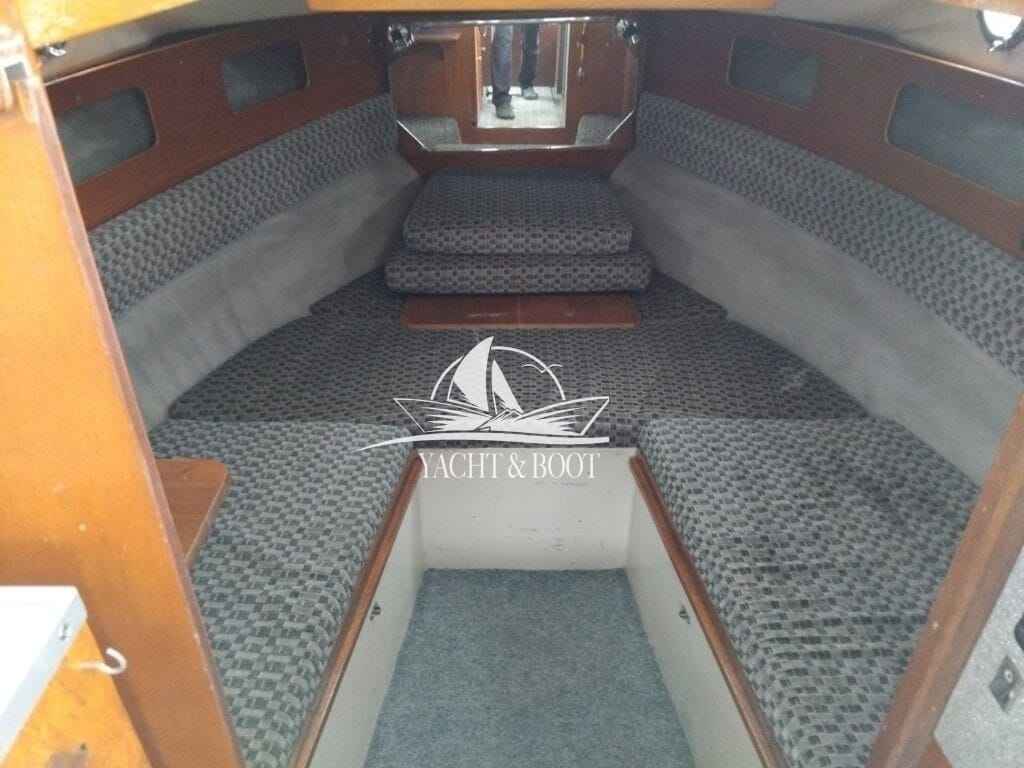 Motorboot Draco Tramp