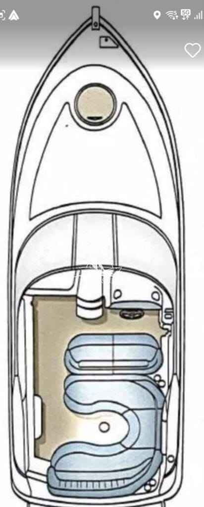 Motorboot Four Winns 248 Vista