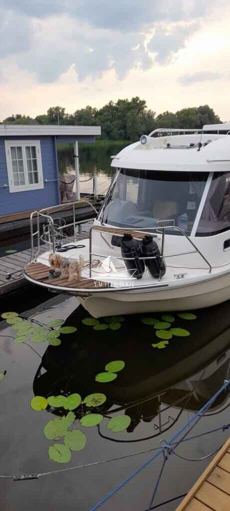 Motorboot Balt Suncamper 30