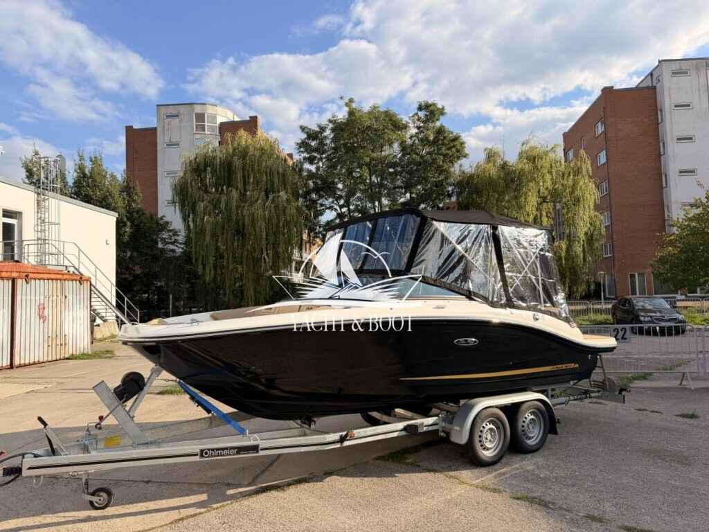 Motorboot Sea Ray 190 SPX